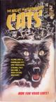 Night of a Thousand Cats